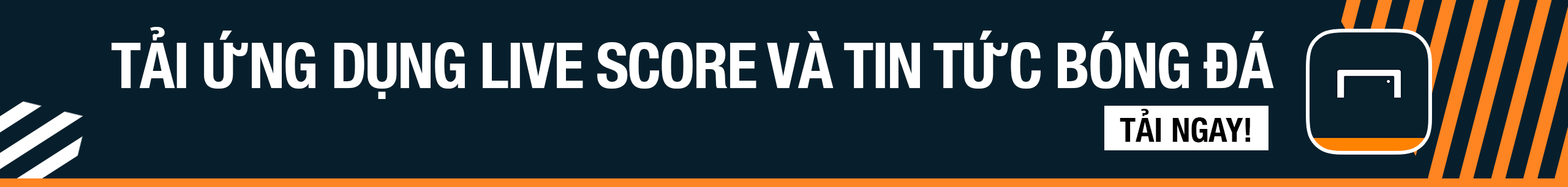 涯奠定了坚 涯奠定了坚